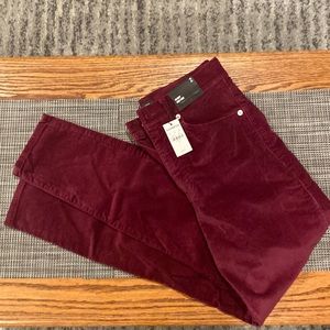NWT Express red velvet pant